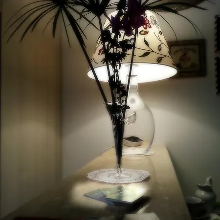 Alojamento de Acomodação e Pequeno-almoço Floreo 4*