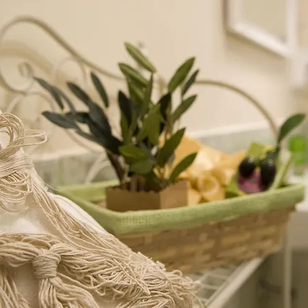 Floreo Alojamento de Acomodação e Pequeno-almoço